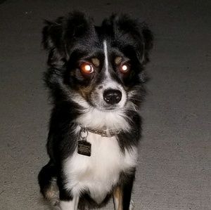 Meet your Posher, Codi